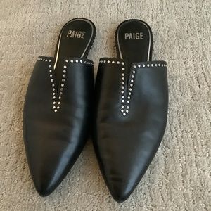 PAIGE Slides